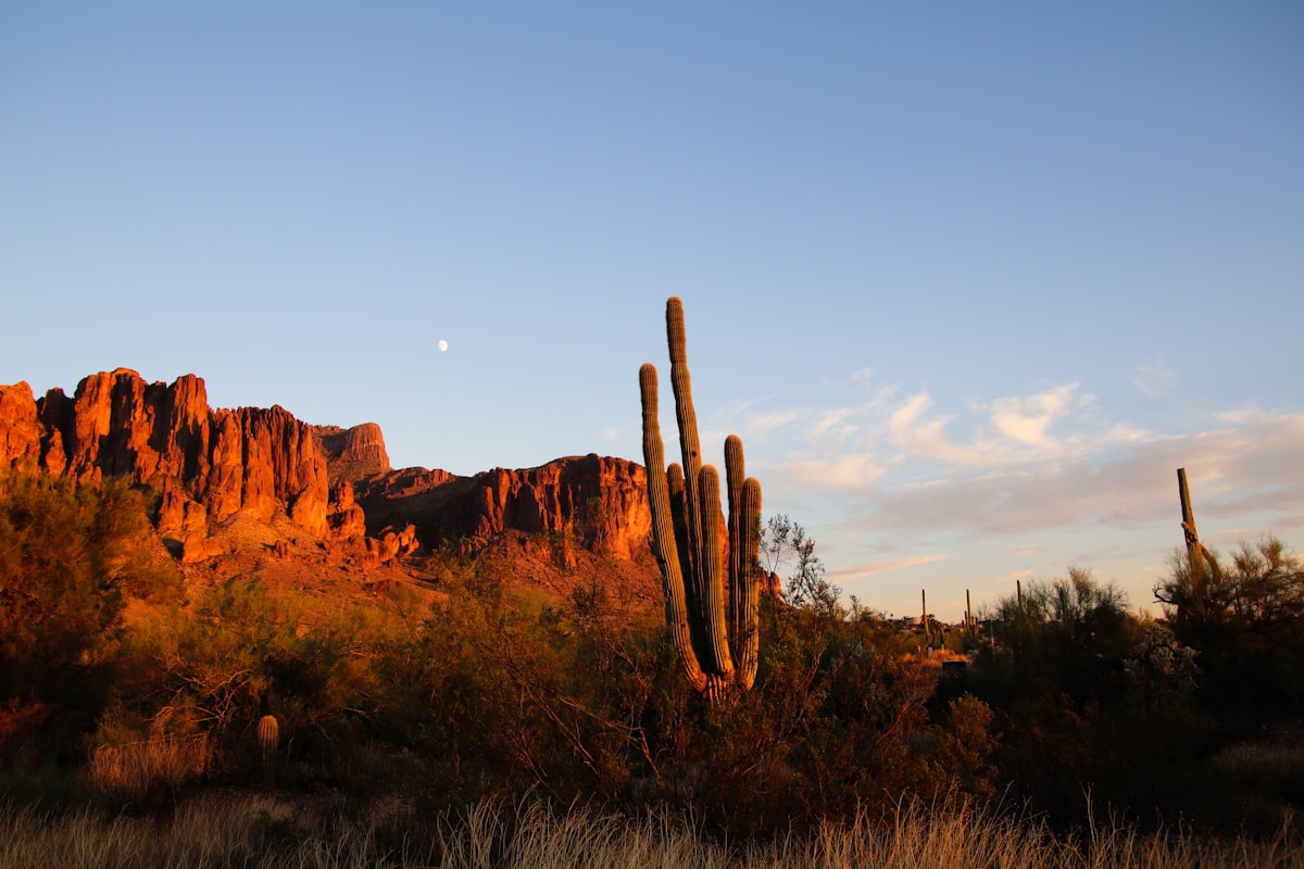 Sonoran Desert and mountain views near Gilbert, Arizona