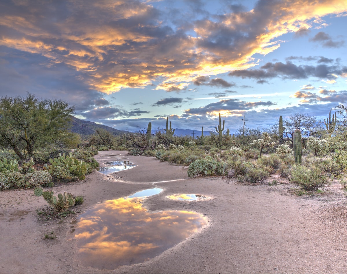 Open Sonoran Desert landscape near Maricopa, Arizona