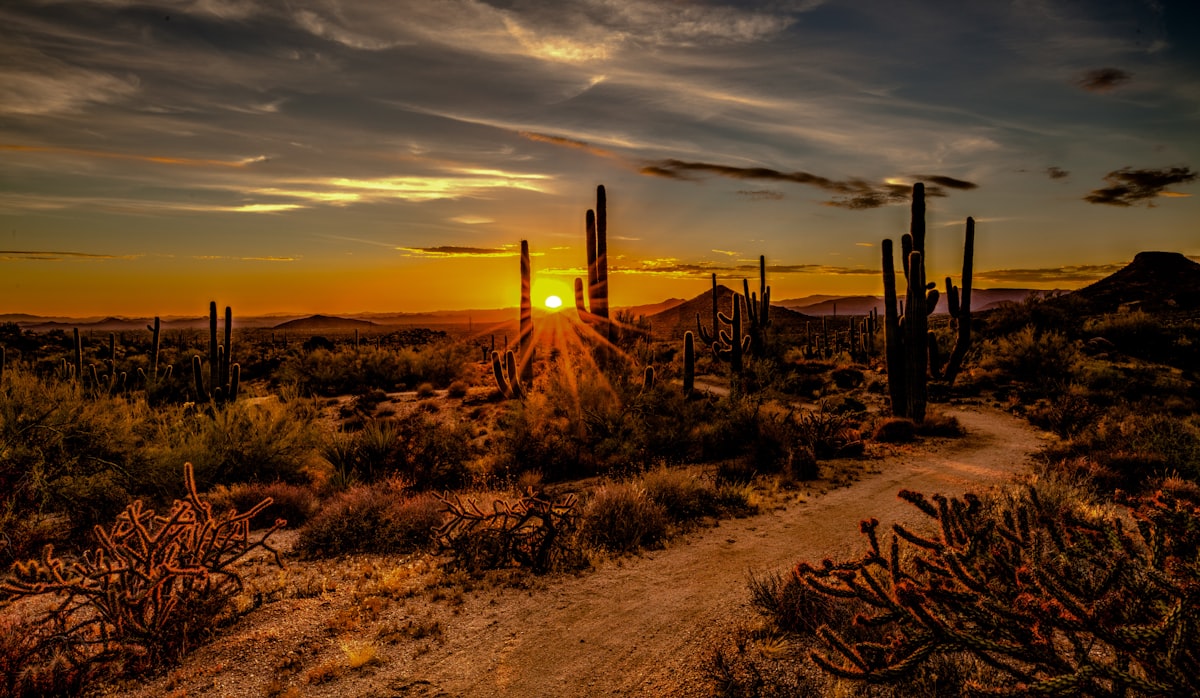 A Sonoran Desert sunset near Peoria, Arizona